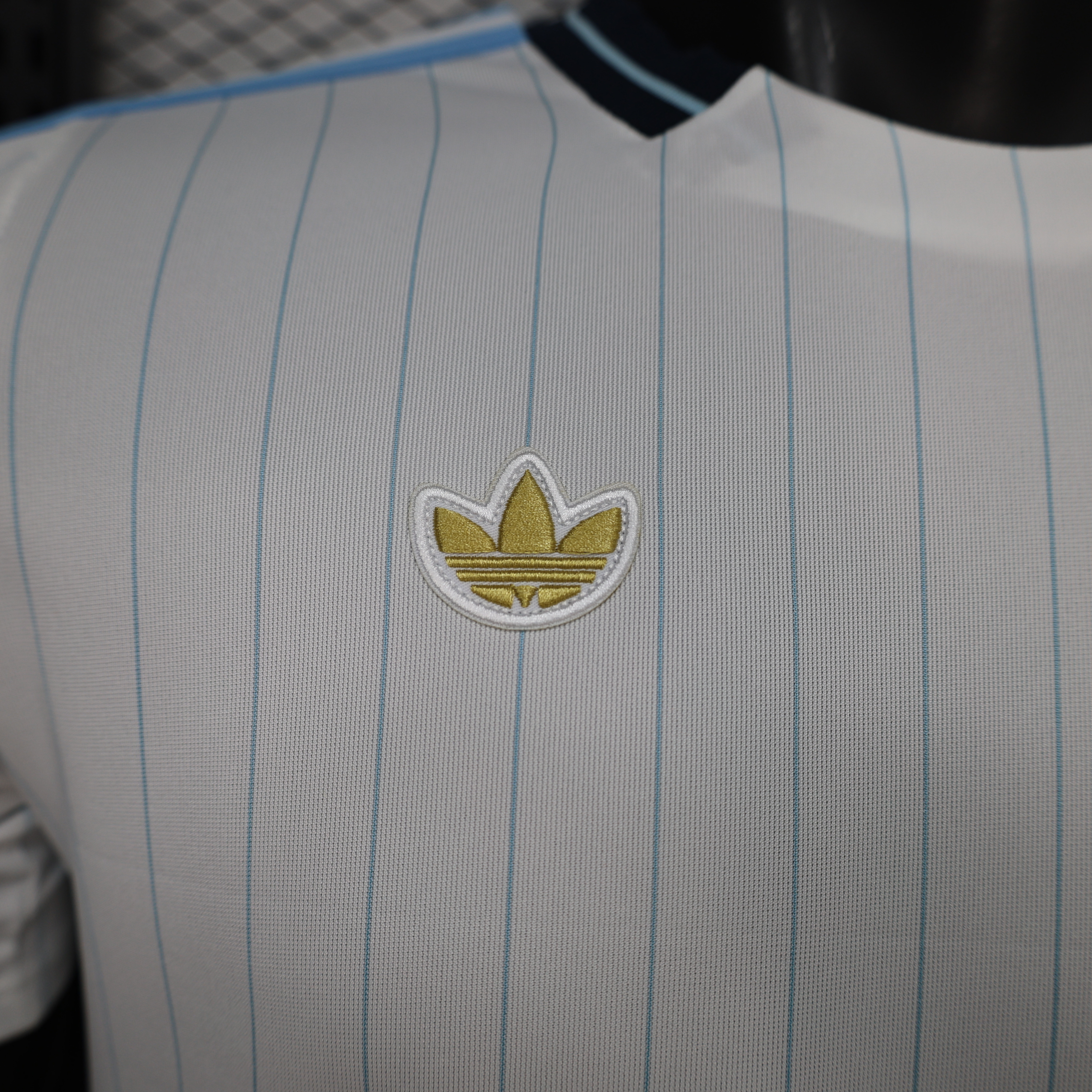 2026 World Cup Argentina Retro Football Shirt Casual Edition AAAA Jersey Drop ship Yupoo 5