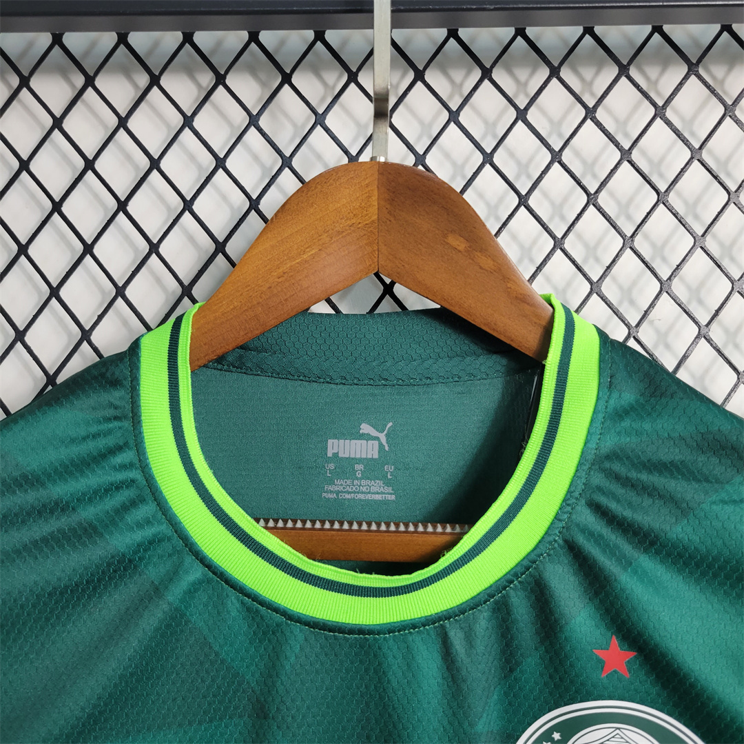 23-24 Palmeiras home tank 4