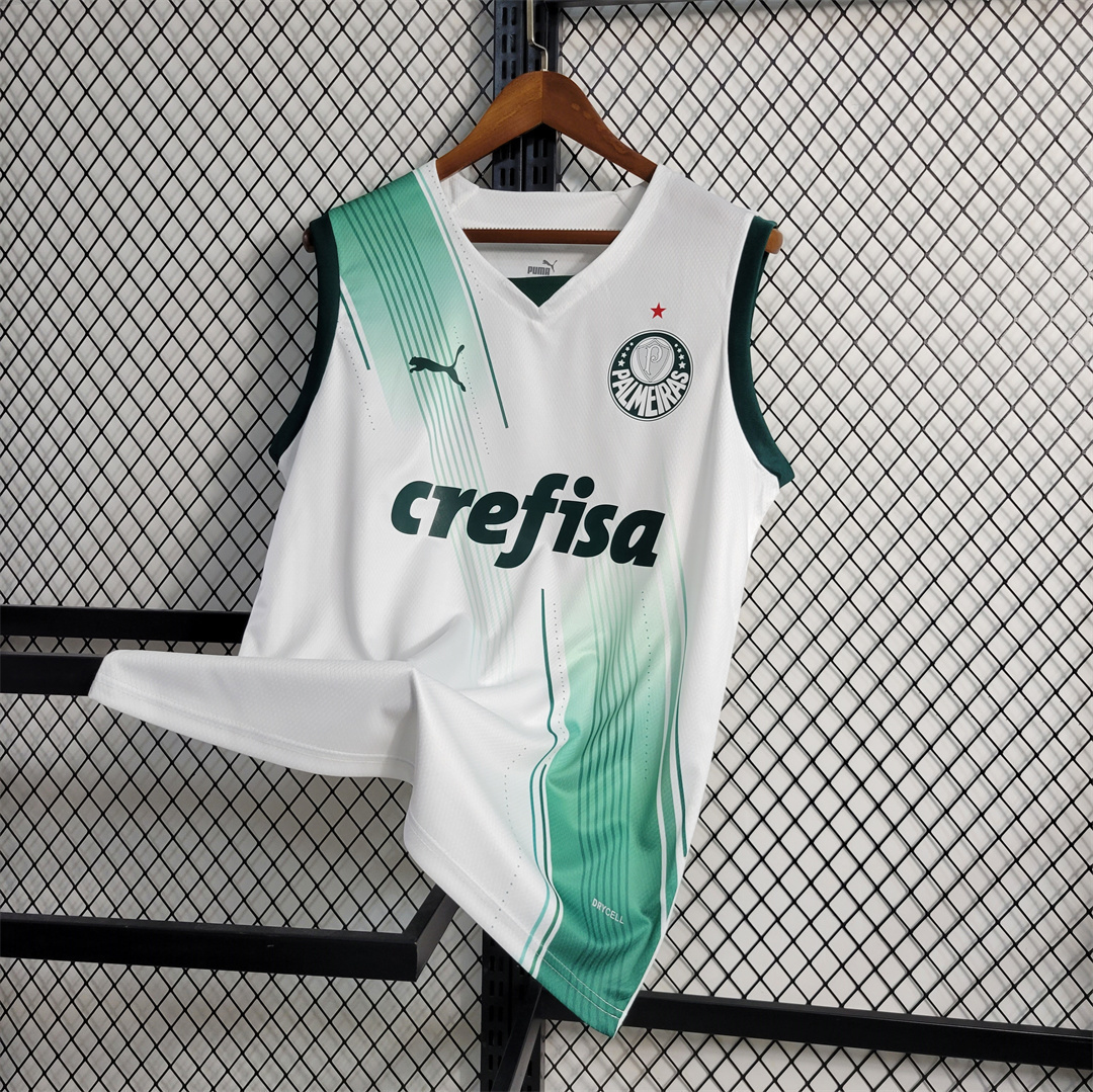 23-24 Palmeiras away tank 1