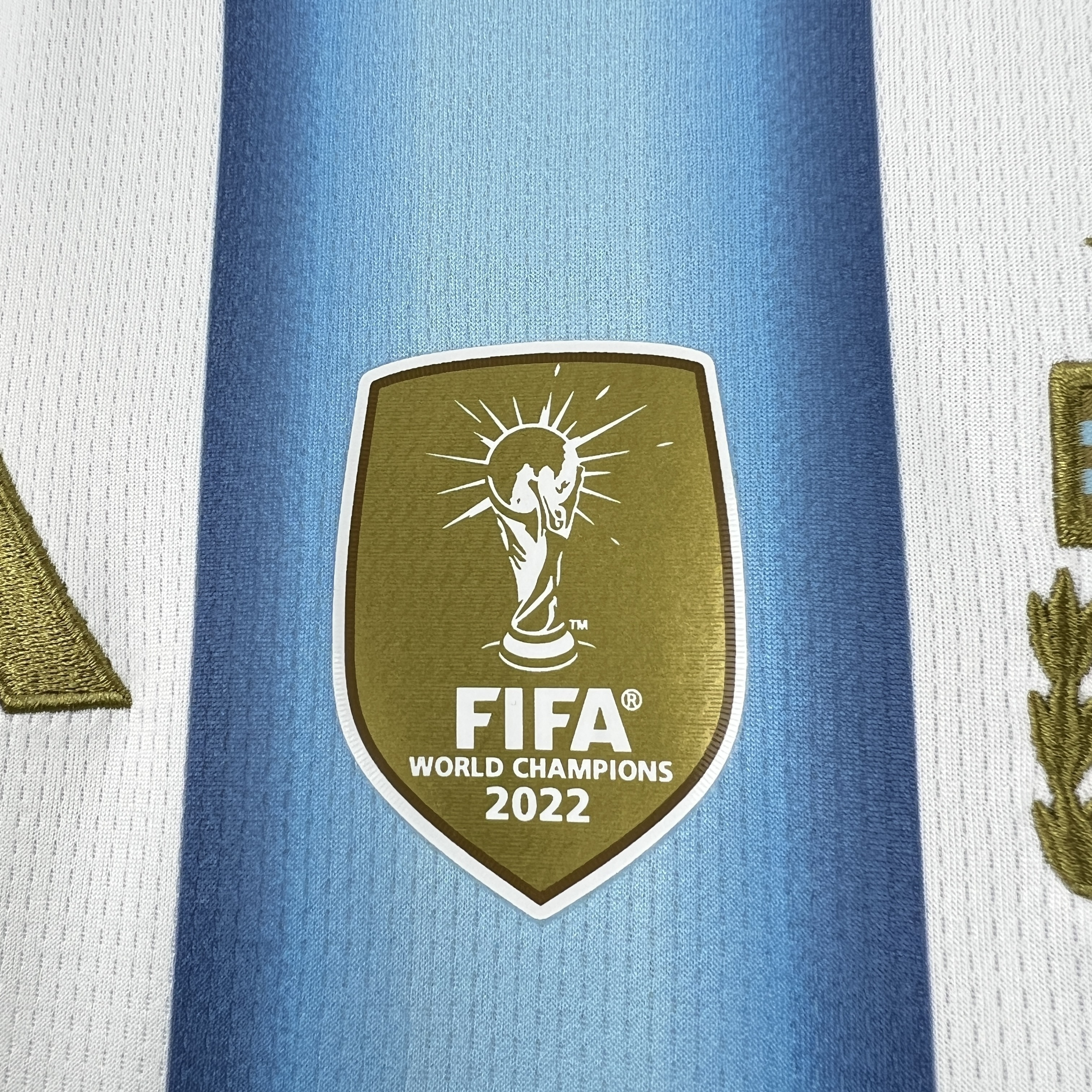 2026 World Cup Argentina Home Kit Football Women T-Shirt AAAAJersey Supply Yupoo 5
