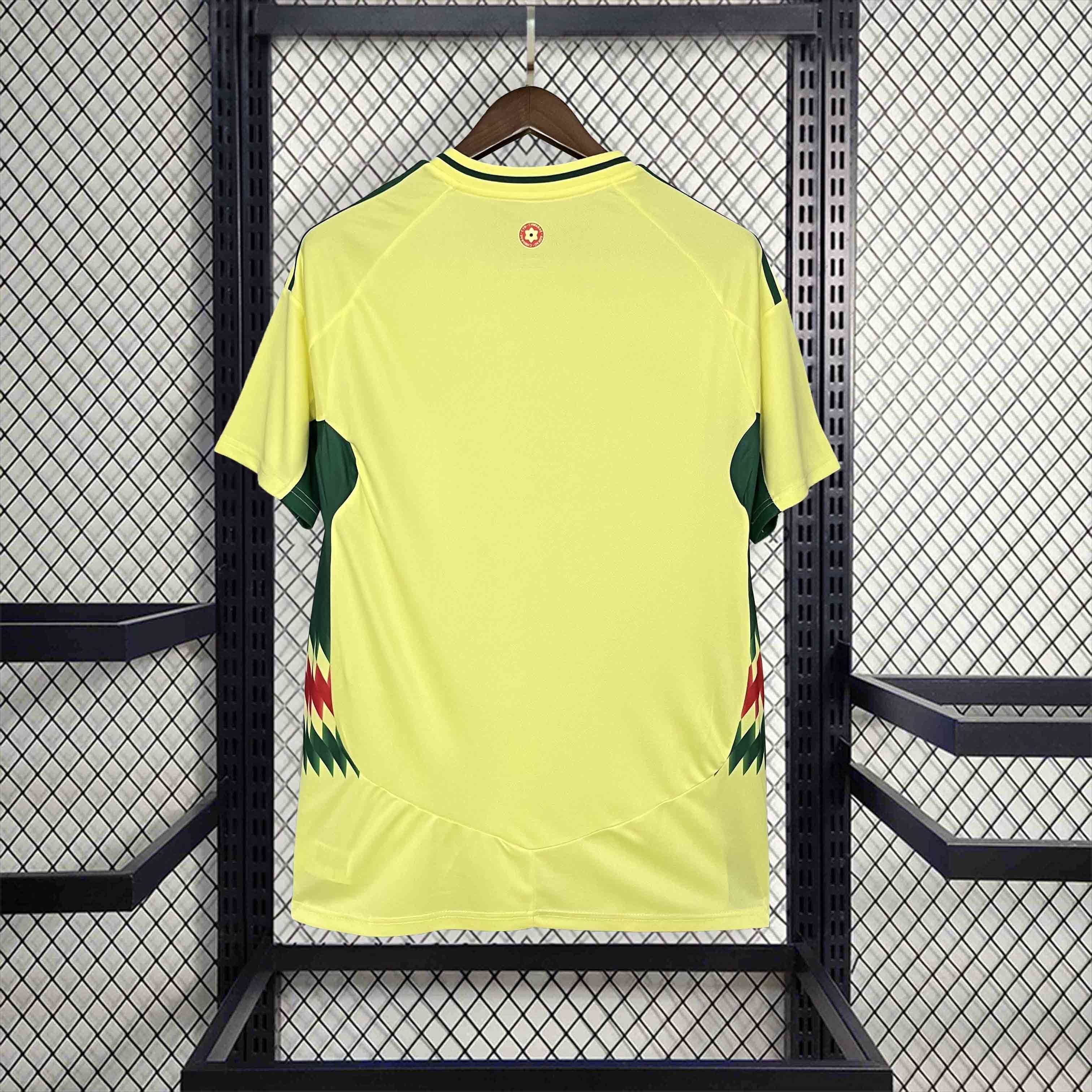 2024 Wales Away Kit Football AAAAJersey Yupoo 3