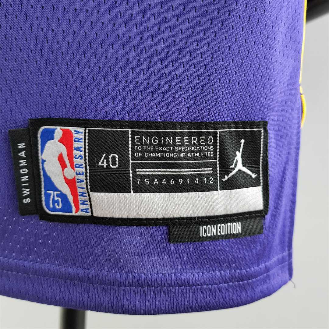 75th Anniversary TOSCANO #95 Los Angeles Lakers Jordan Purple NBA Jersey 2