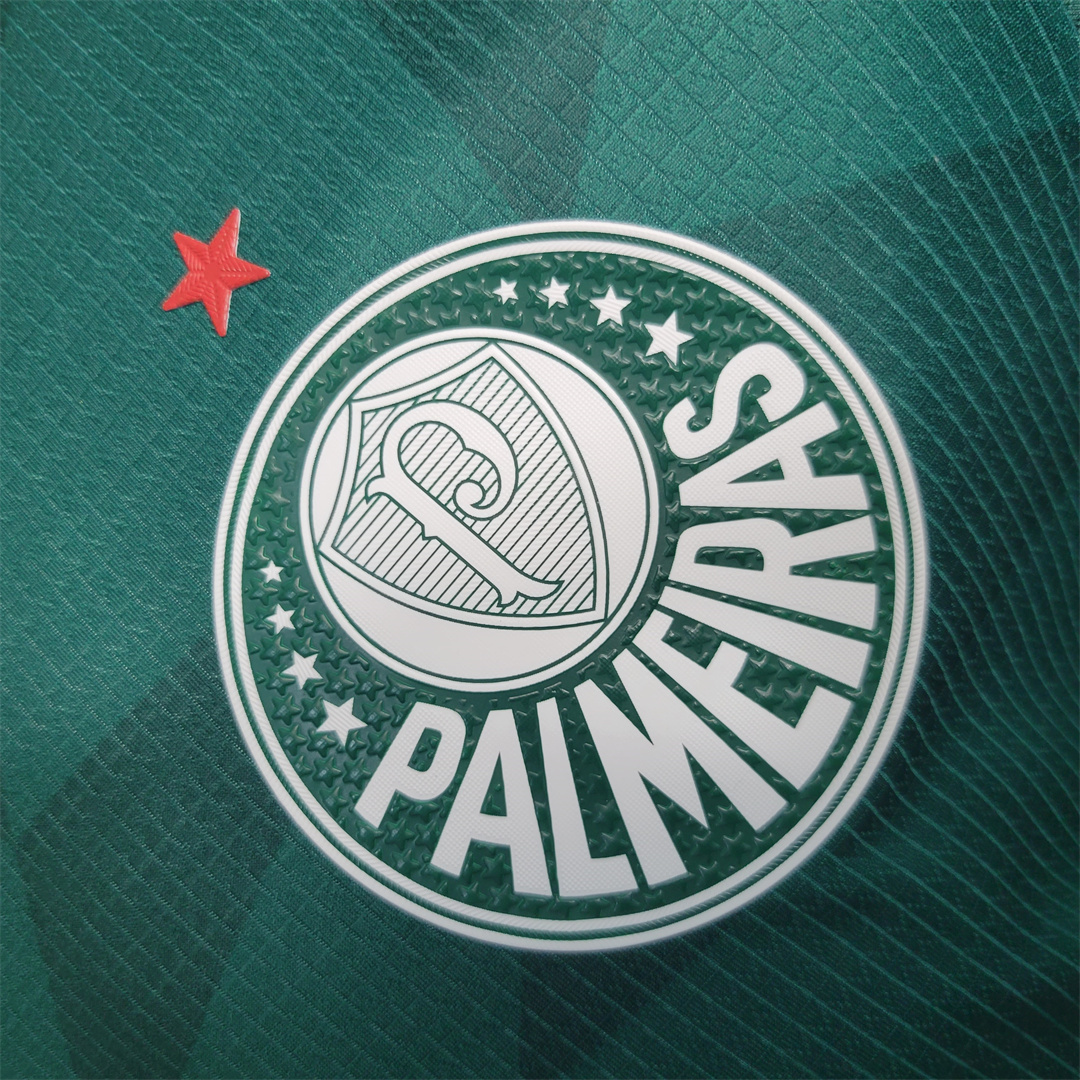 23-24 Palmeiras home player version 6
