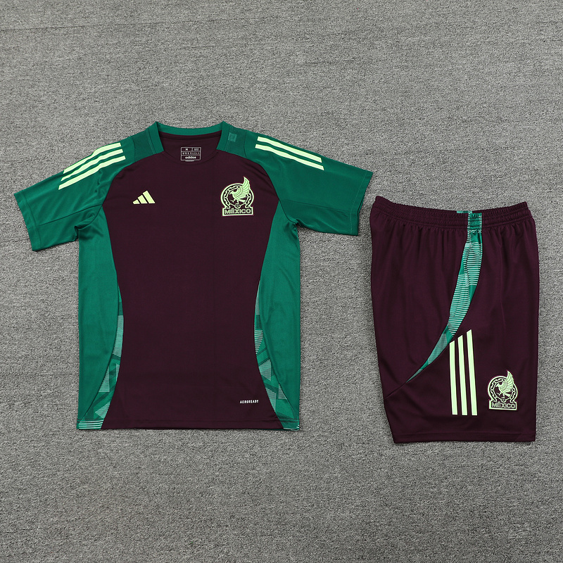 2024 Mexico Training Soccer Jerseys Football Shirts 3