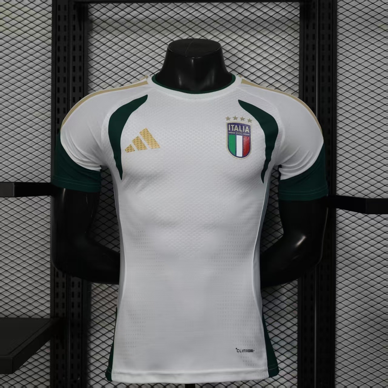 2026 Italy Tiro Pre-Match Football Player Version T-Shirt AAAAJersey Supply Yupoo