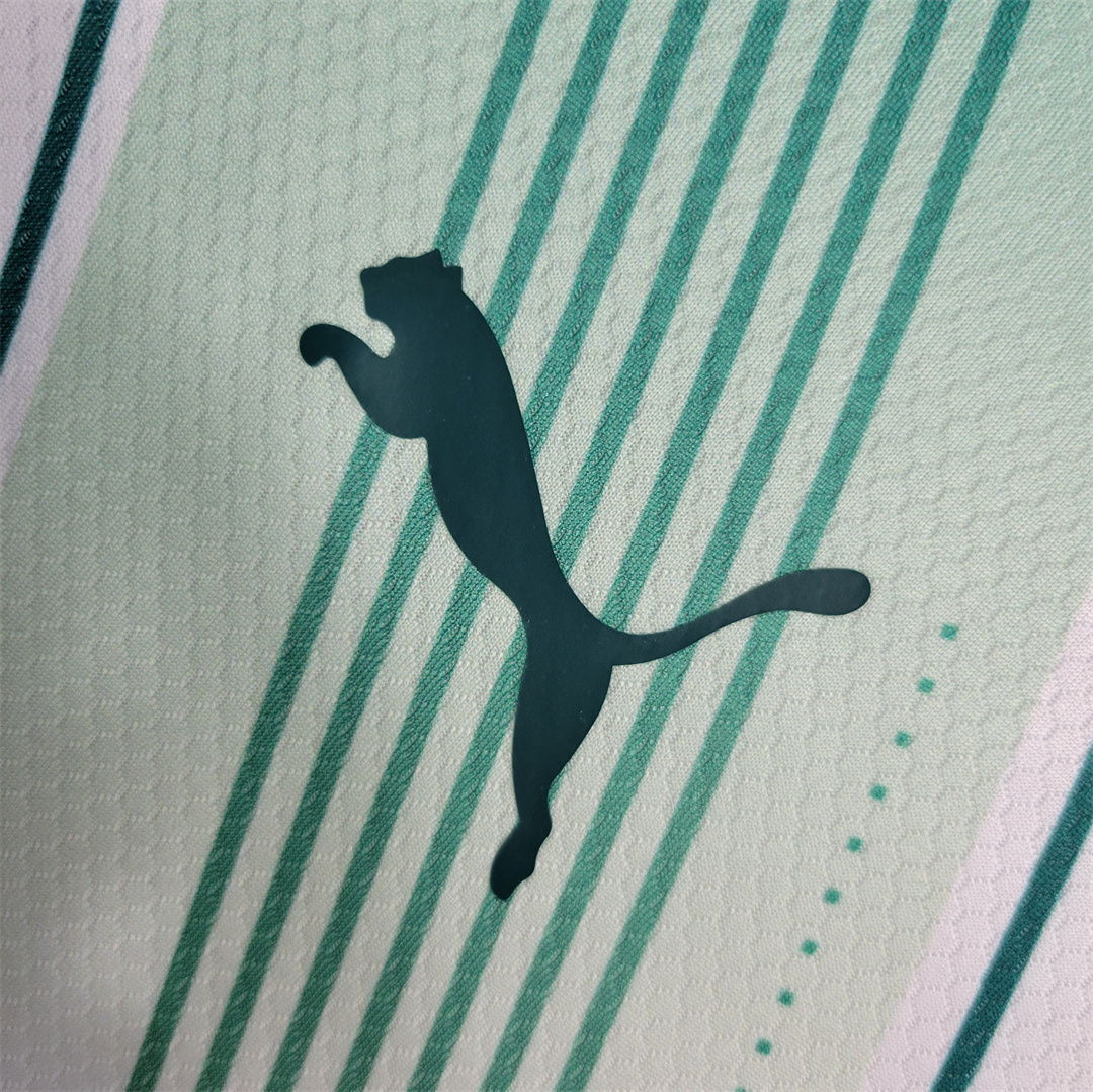 23-24 Palmeiras away long-sleeved 2