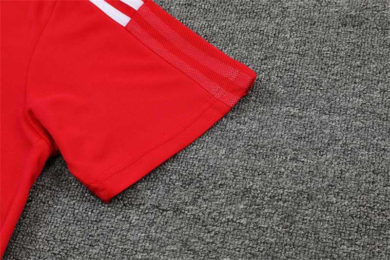 Polo Bayern red 2