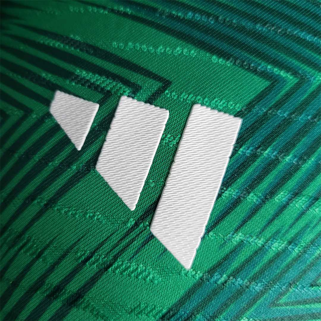 2022 Mexico home player version 3