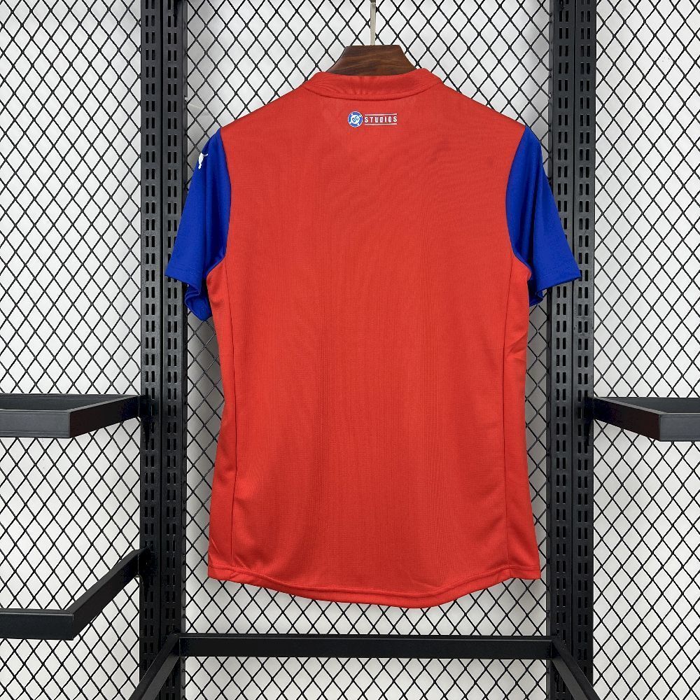 25-26 Bahia Special Edition Soccer Uniform Sport AAAAJersey Yupoo 4