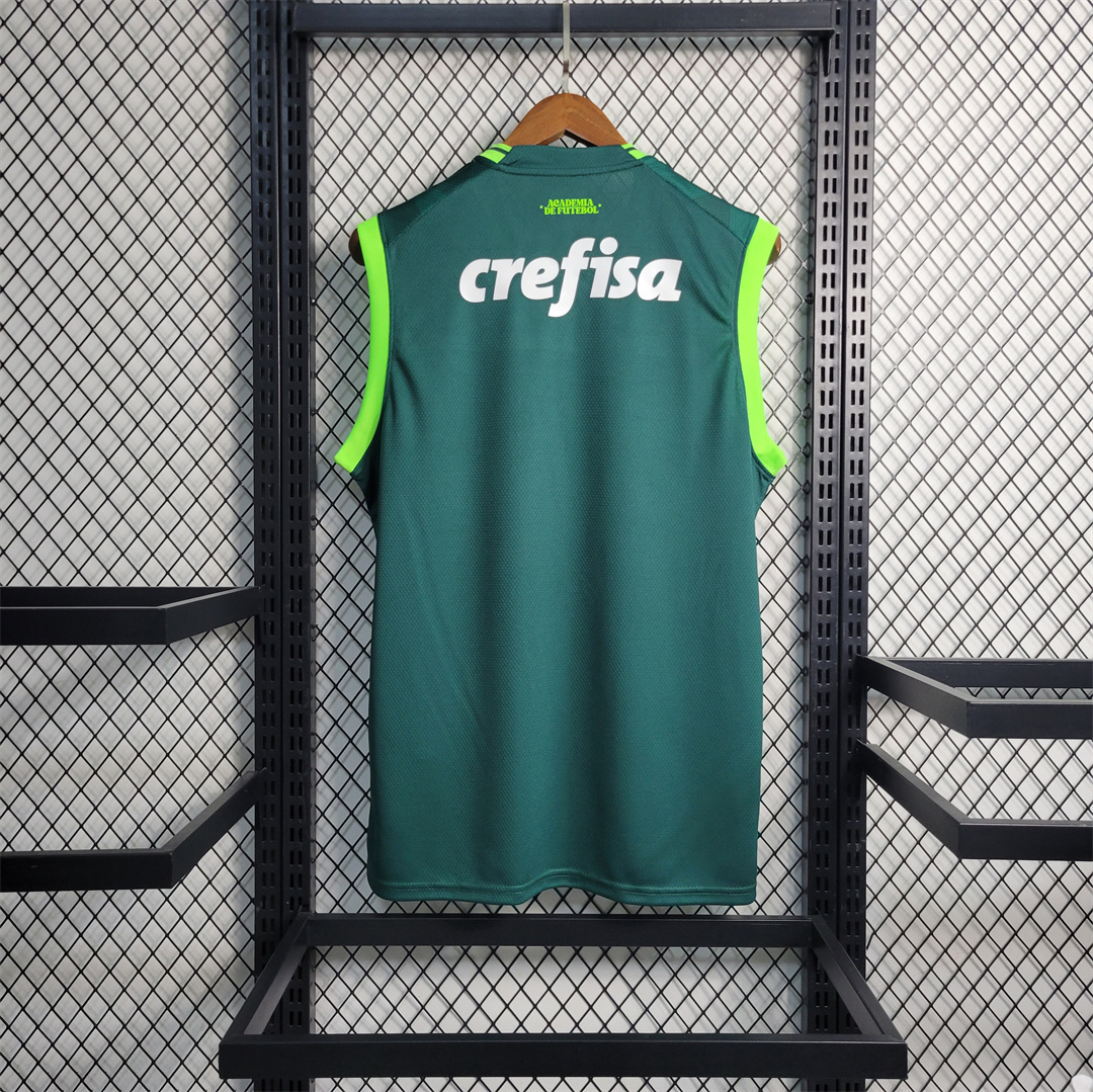23-24 Palmeiras home tank 6