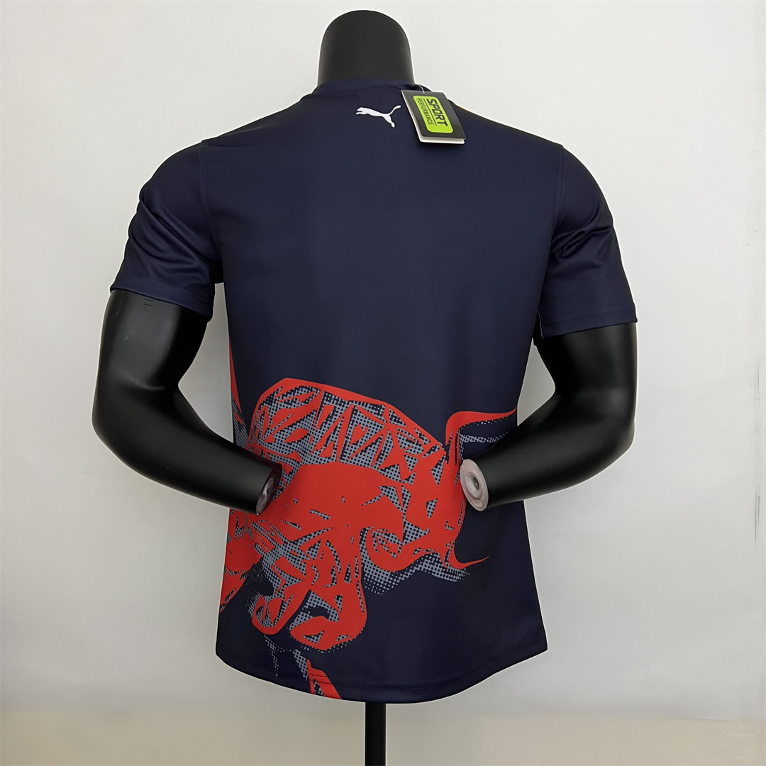 F1 Formula One; S-5XL1684425991000 4