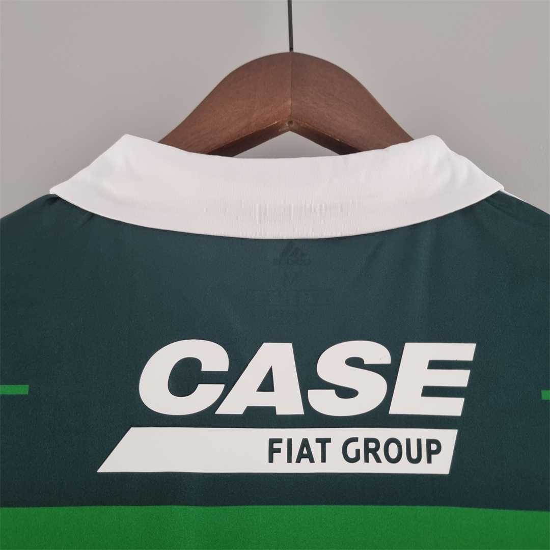 10-11 Palmeiras home 8