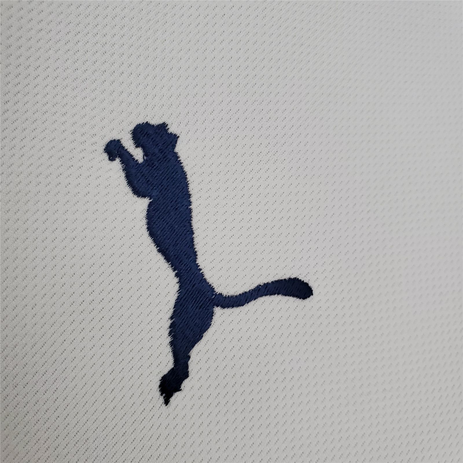 08-09 Tottenham Hotspur home 9