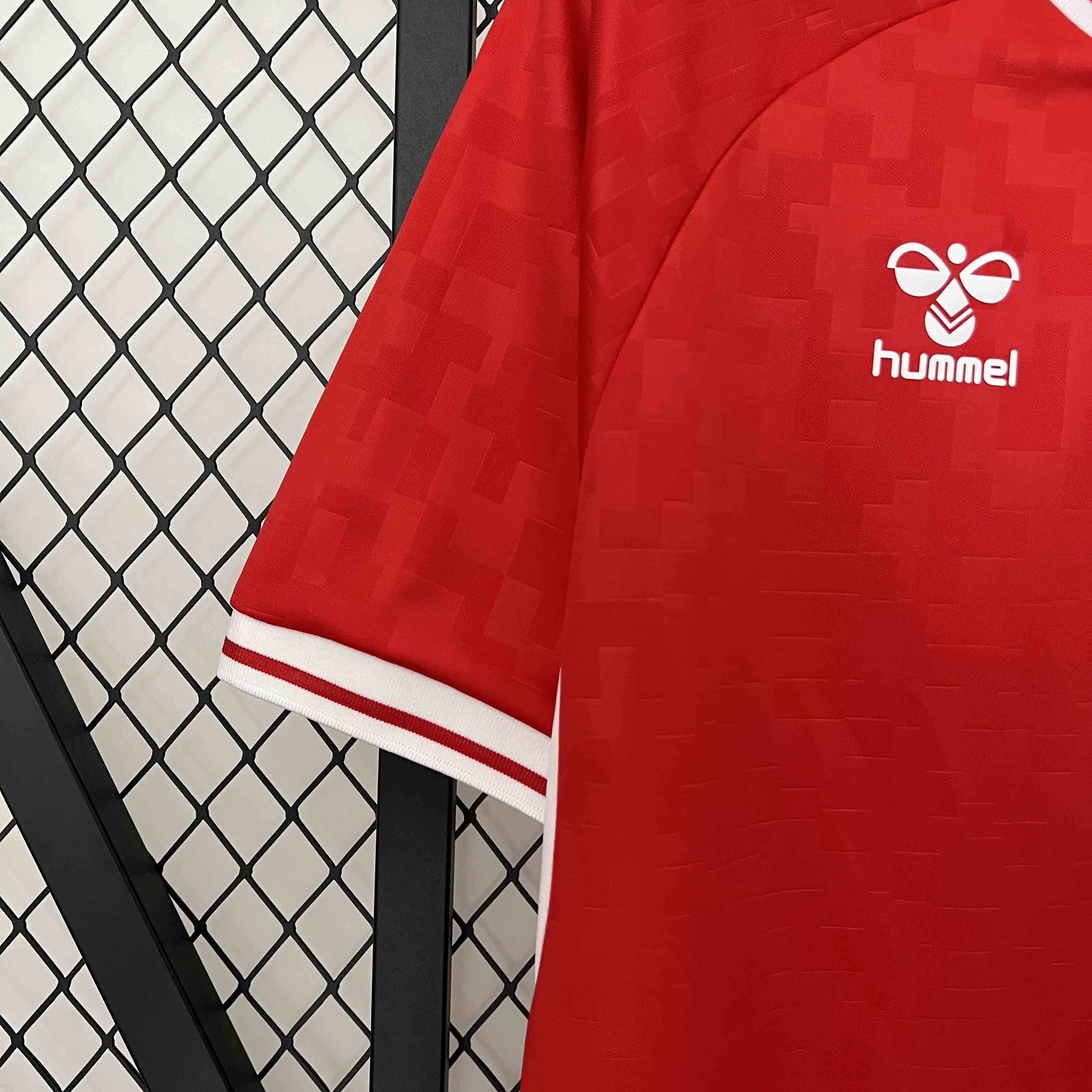 2024 Denmark Home Kit UEFA Euro Shirt Football Replicas Yupoo 3
