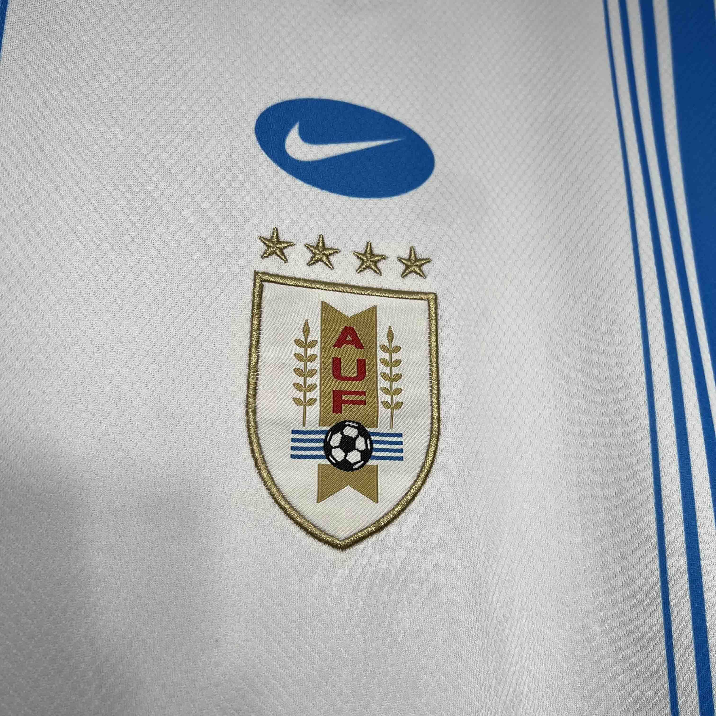 2024 Uruguay Pre-match Training Kit Sport AAAAJersey Yupoo 2
