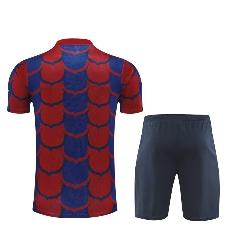 24-25 Barcelona Adults And Kids Training Soccer Jerseys Football Shirts 2