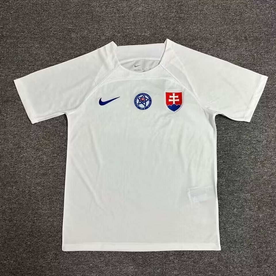 2024 Slovakia Away Kit UEFA Euro Shirt Football AAAAJersey Supplier 2