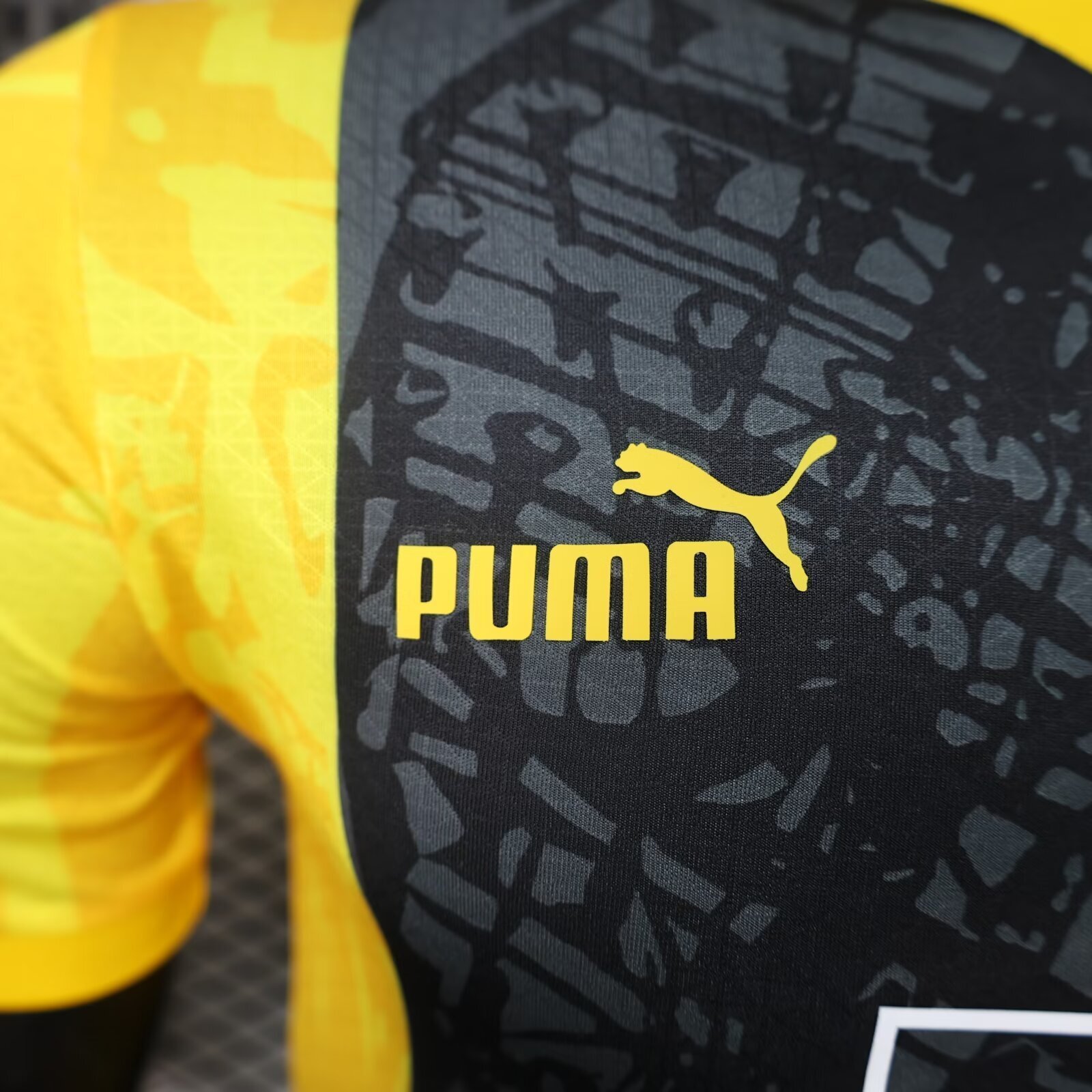23-24 Dortmund BVB Special Edition Kit Jerseys Supllier Yupoo 5