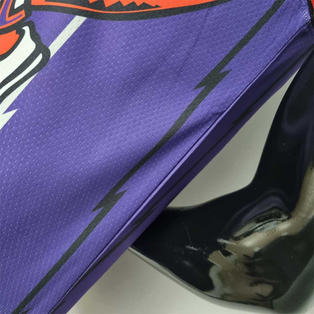 Toronto Raptors SIAKAM #43 Purple NBA Jersey 3