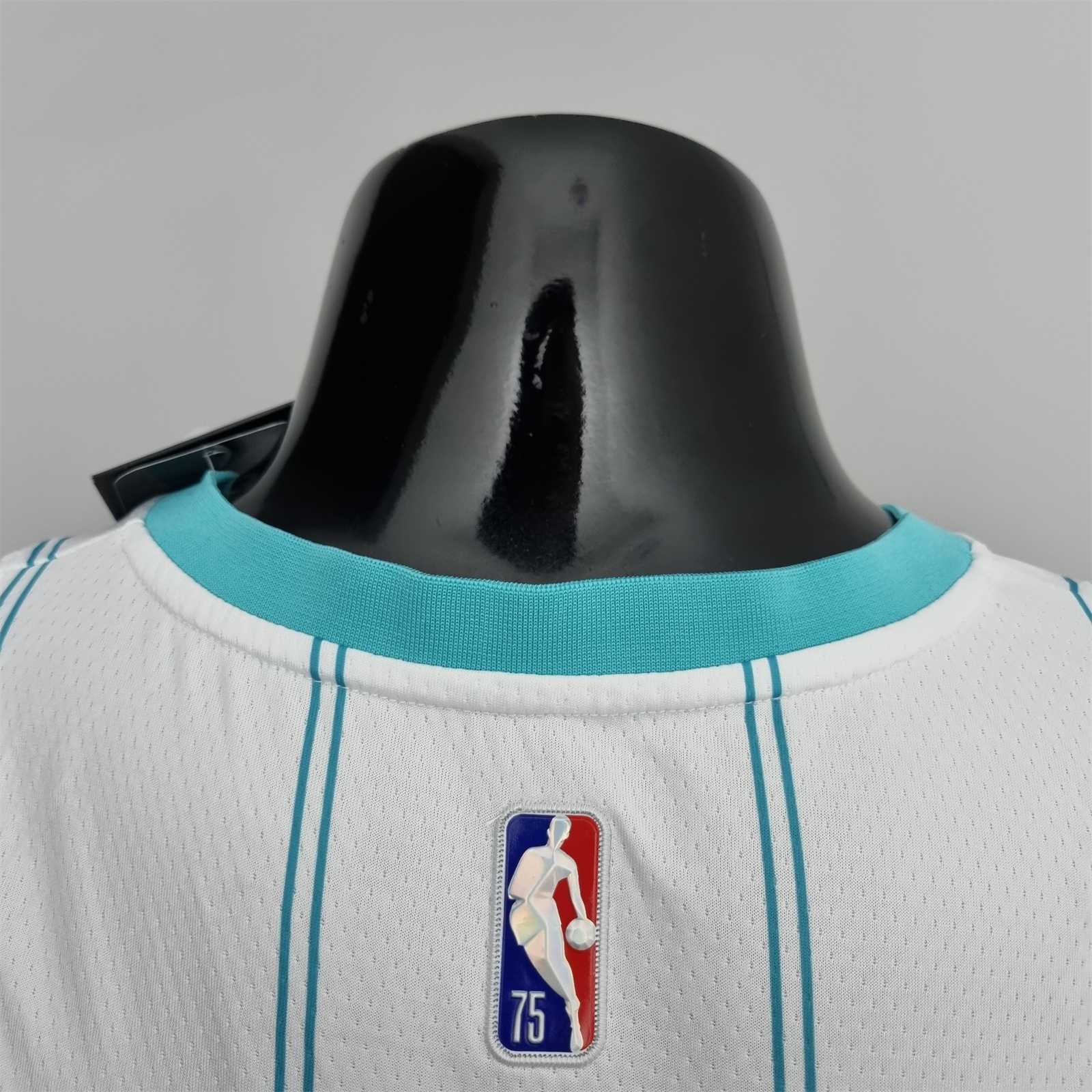 75th Anniversary Hayward #20 Charlotte Hornets White NBA Jersey 3