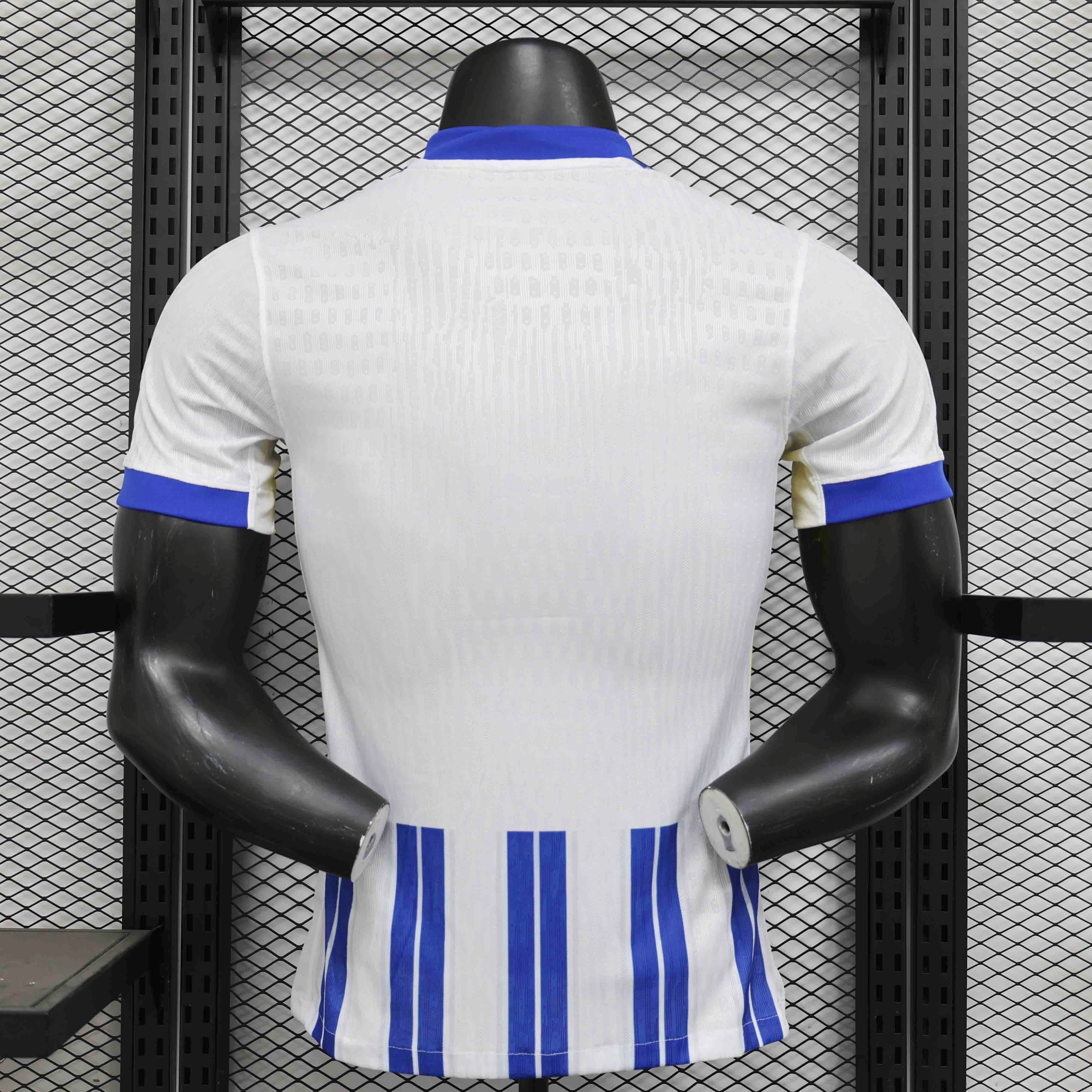 24-25 Brighton Home Kit Player Version Shirt AAAAJersey Supplier Yupoo 1
