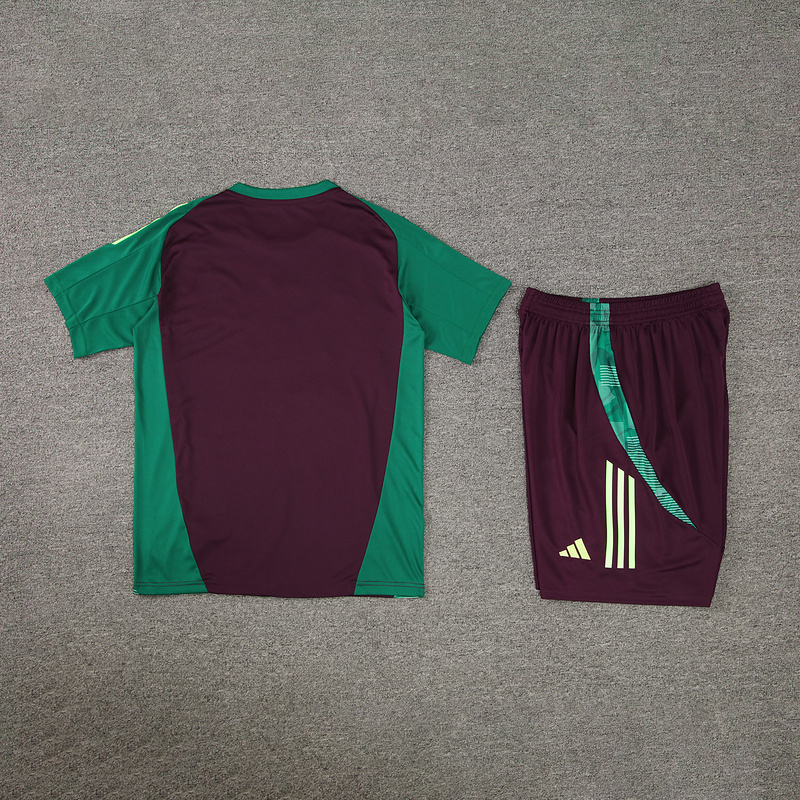 2024 Mexico Training Soccer Jerseys Football Shirts 1