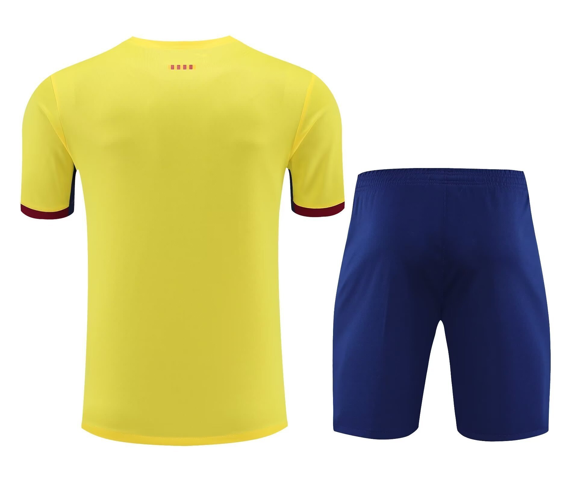 23-24 Barcelona Training Soccer Jerseys Yupoo 2