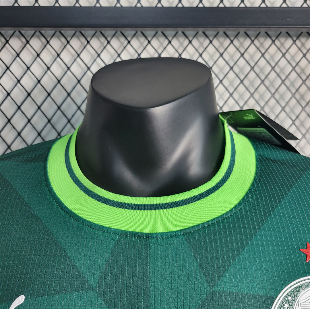 23-24 Palmeiras home player version 7