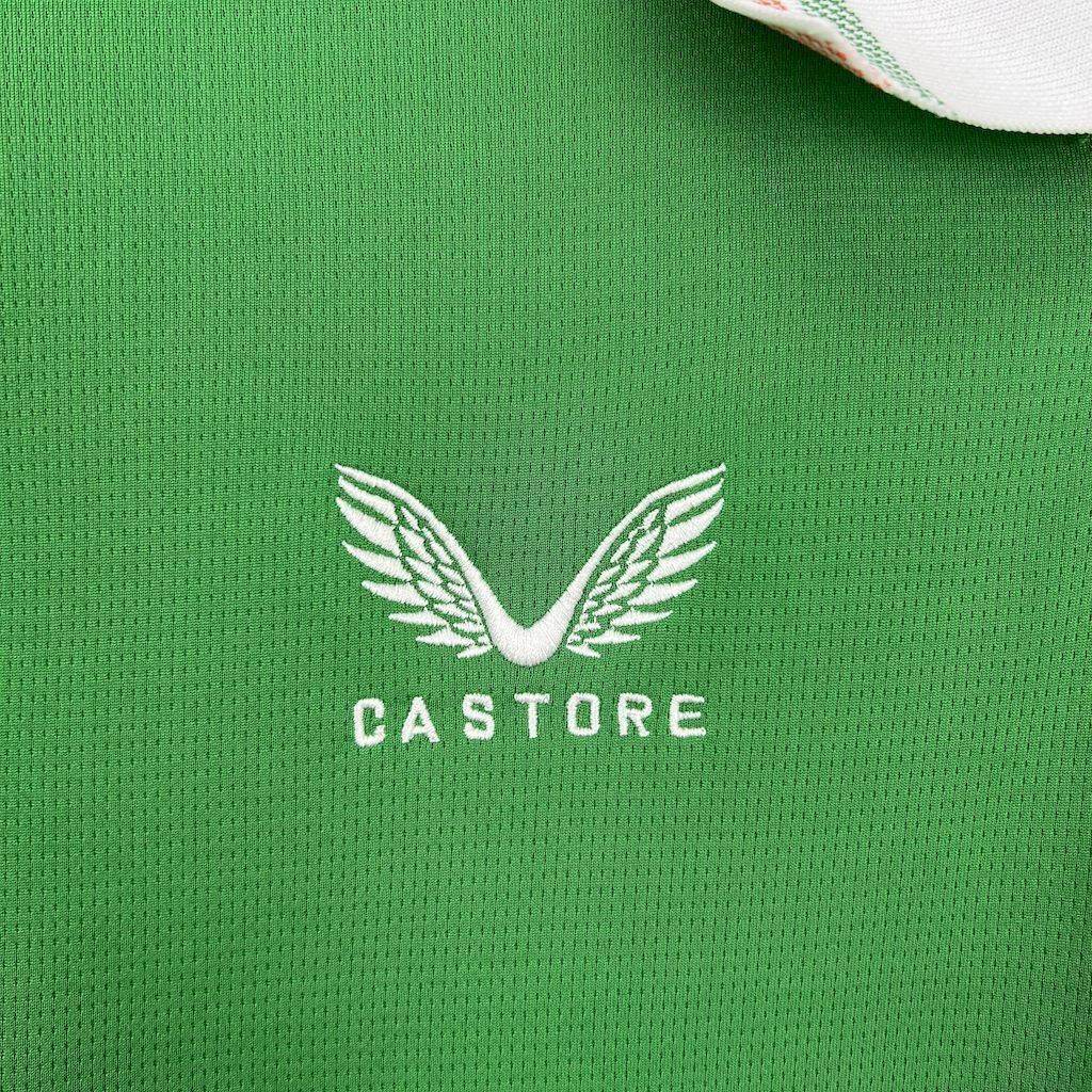 2025 Ireland Home Kit Football T-Shirt AAAAJersey Wholesale Yupoo 1
