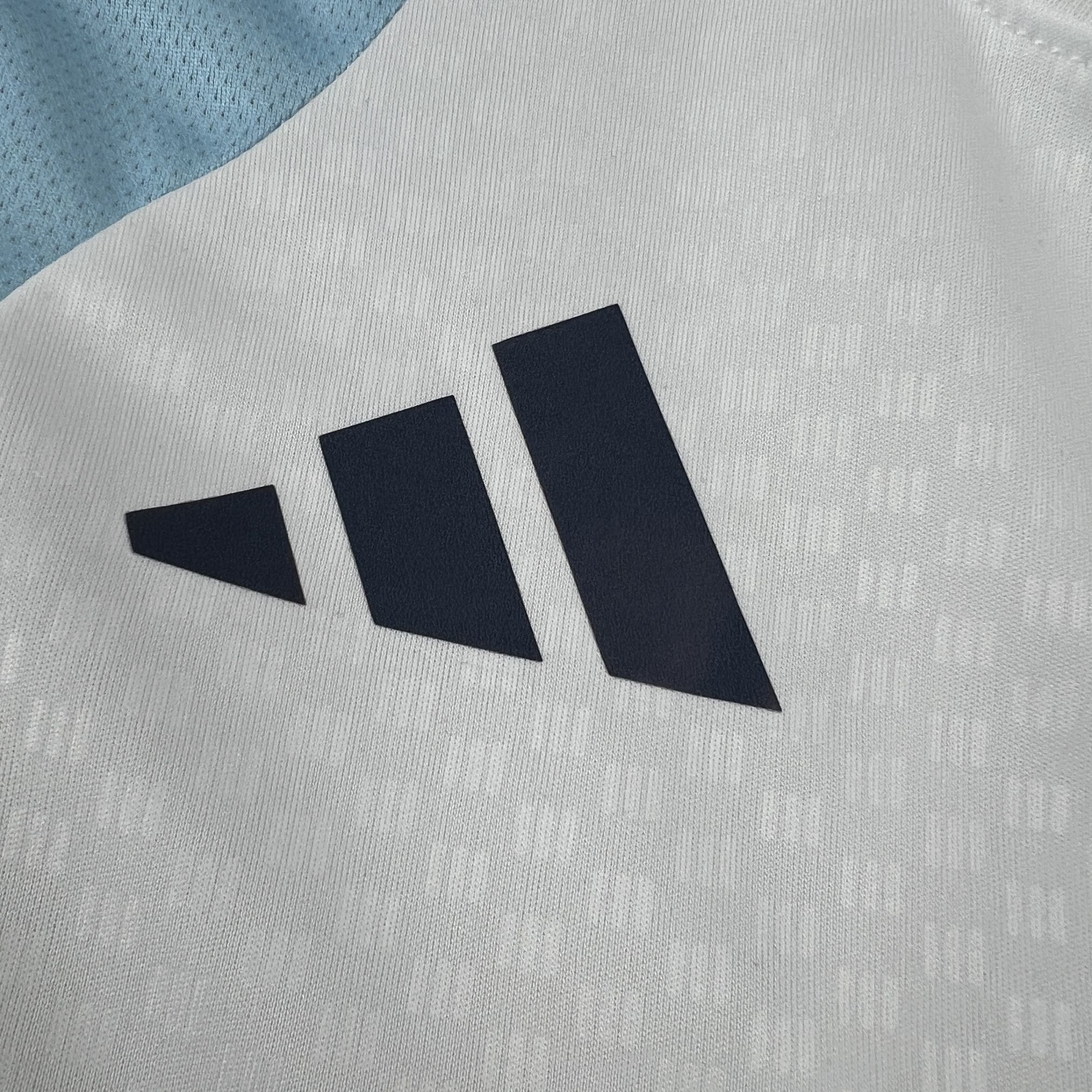 2026 Argentina World Cup Pre-Match Soccer T-Shirt AAAAJerseys Supply Yupoo 4