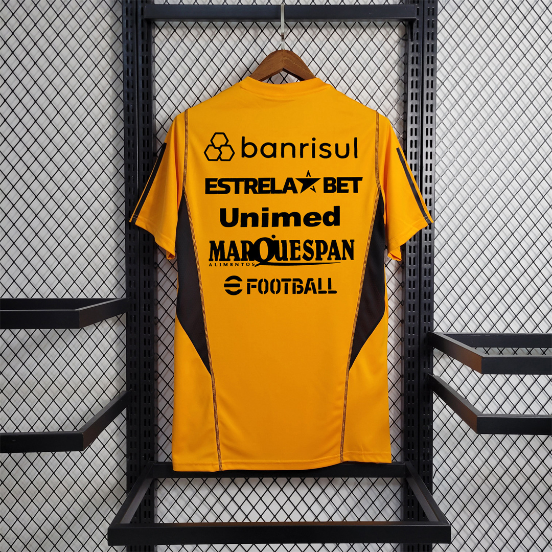 23-24 Internacional training suit 2