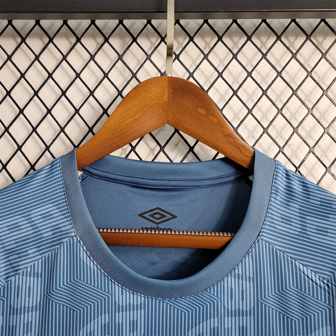 23-24 Gremio training suit 3