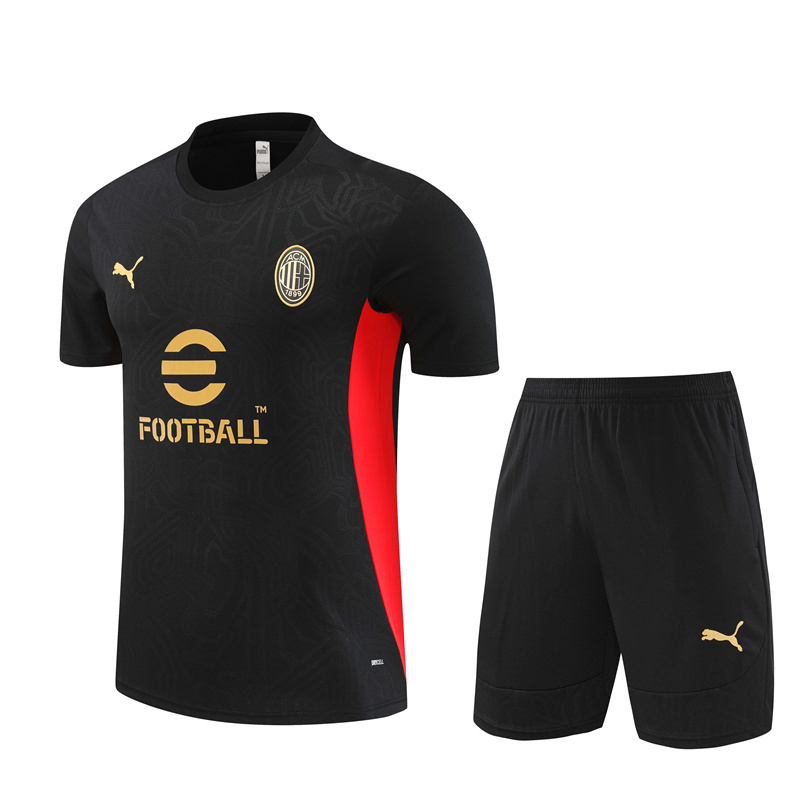 24-25 AC Milan Training Soccer Jerseys Football Shirts