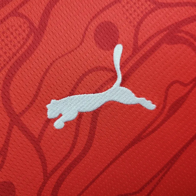 2024 Austria Home Kit UEFA Euro Shirt Football Replicas Yupoo 5