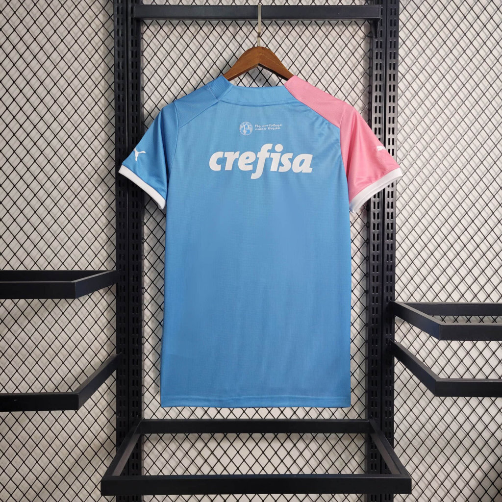 23-24 Palmeiras Special Edition Pink&Blue S-4XL Cheap Soccer Jerseys 8