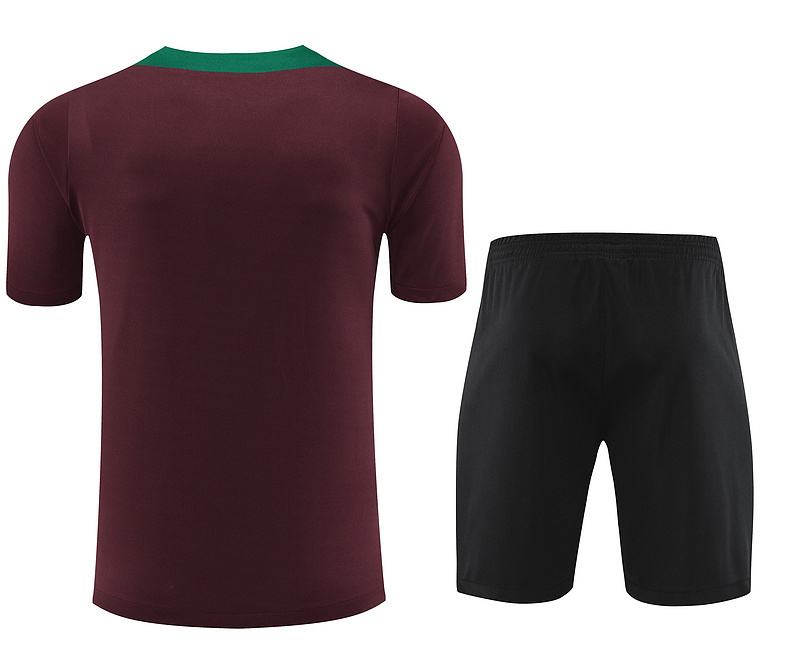 24-25 PSG Training Soccer Jerseys Football Shirts 2