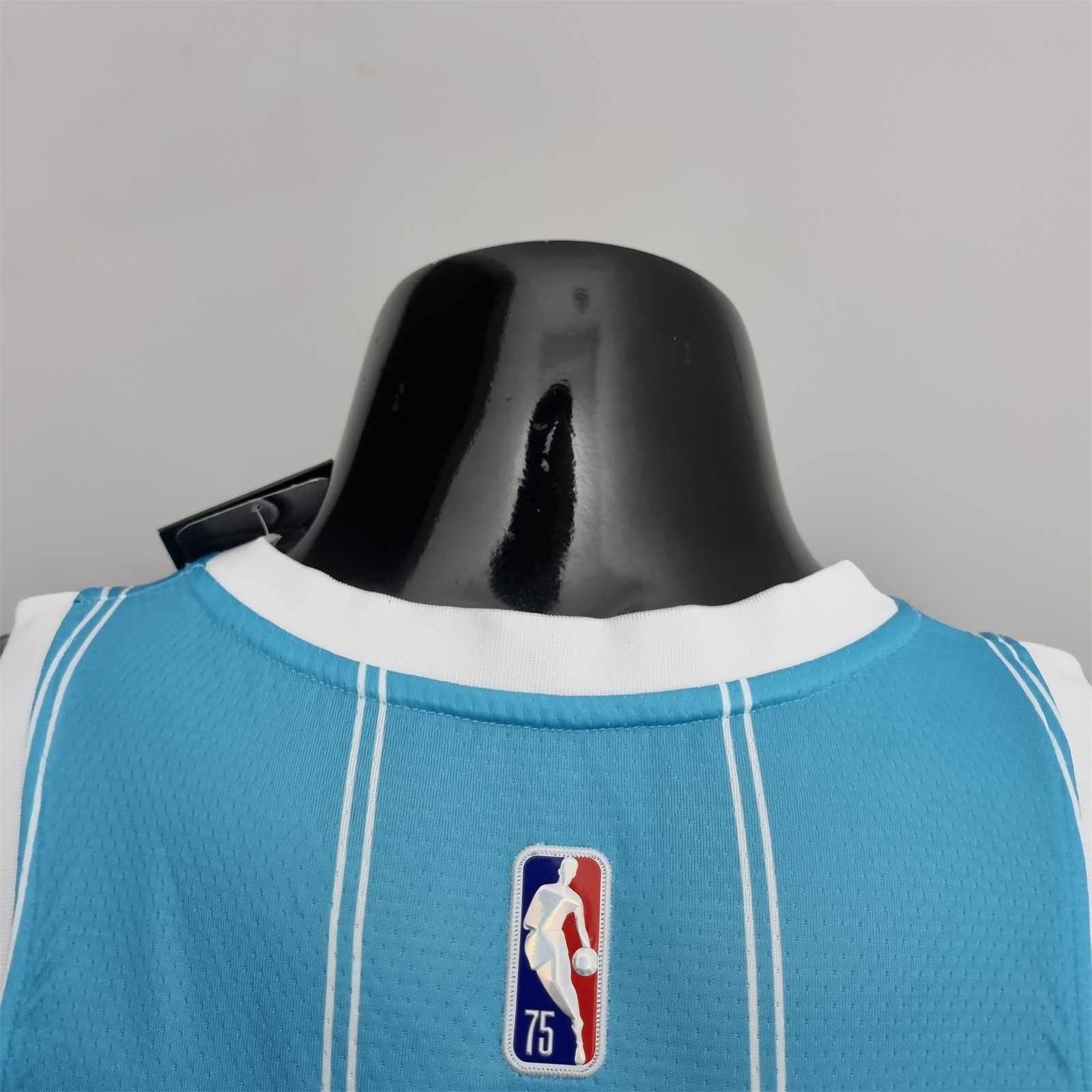75th Anniversary Hayward #20 Charlotte Hornets Blue NBA Jersey 1