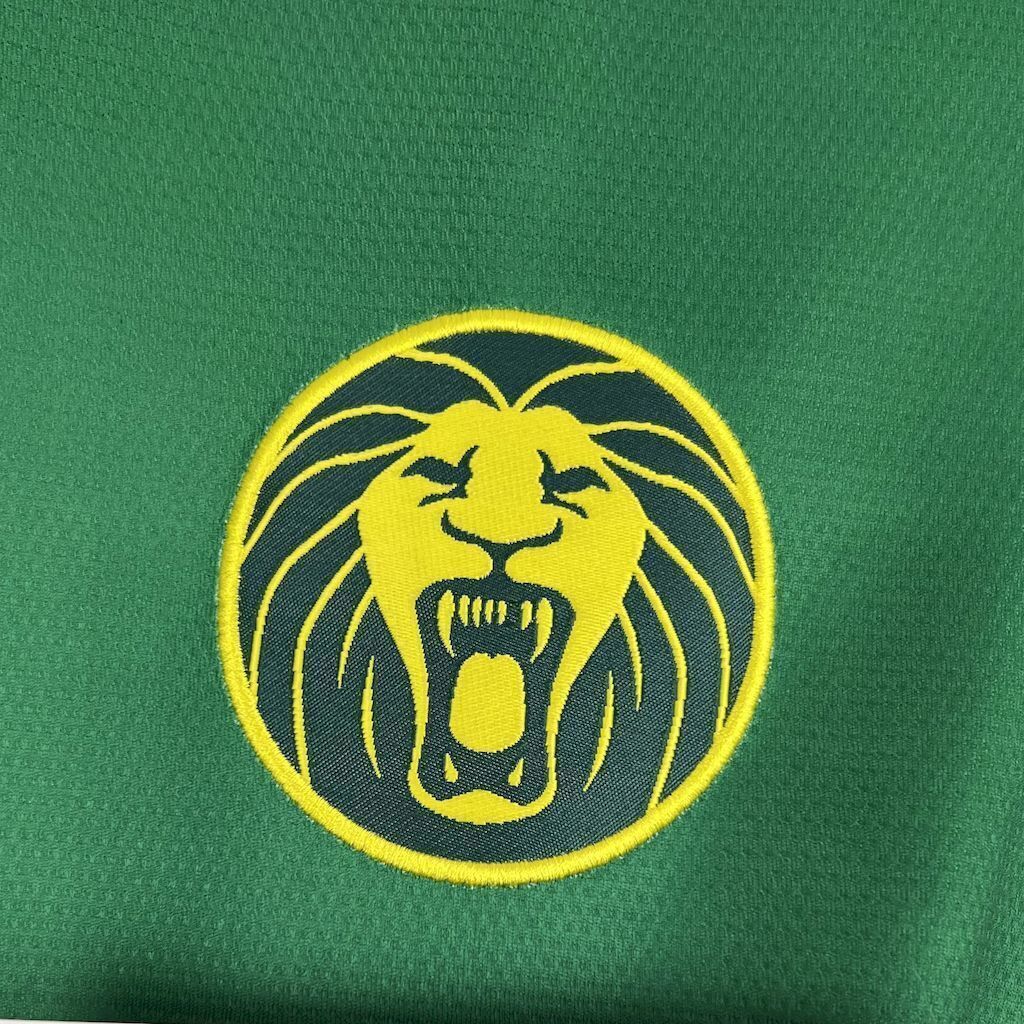2025 Cameroon Home Kit Football T-Shirt AAAAJersey Supply Yupoo 3