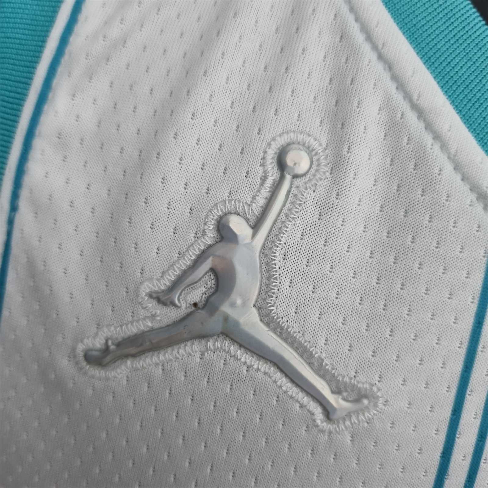 75th Anniversary Hayward #20 Charlotte Hornets White NBA Jersey 7