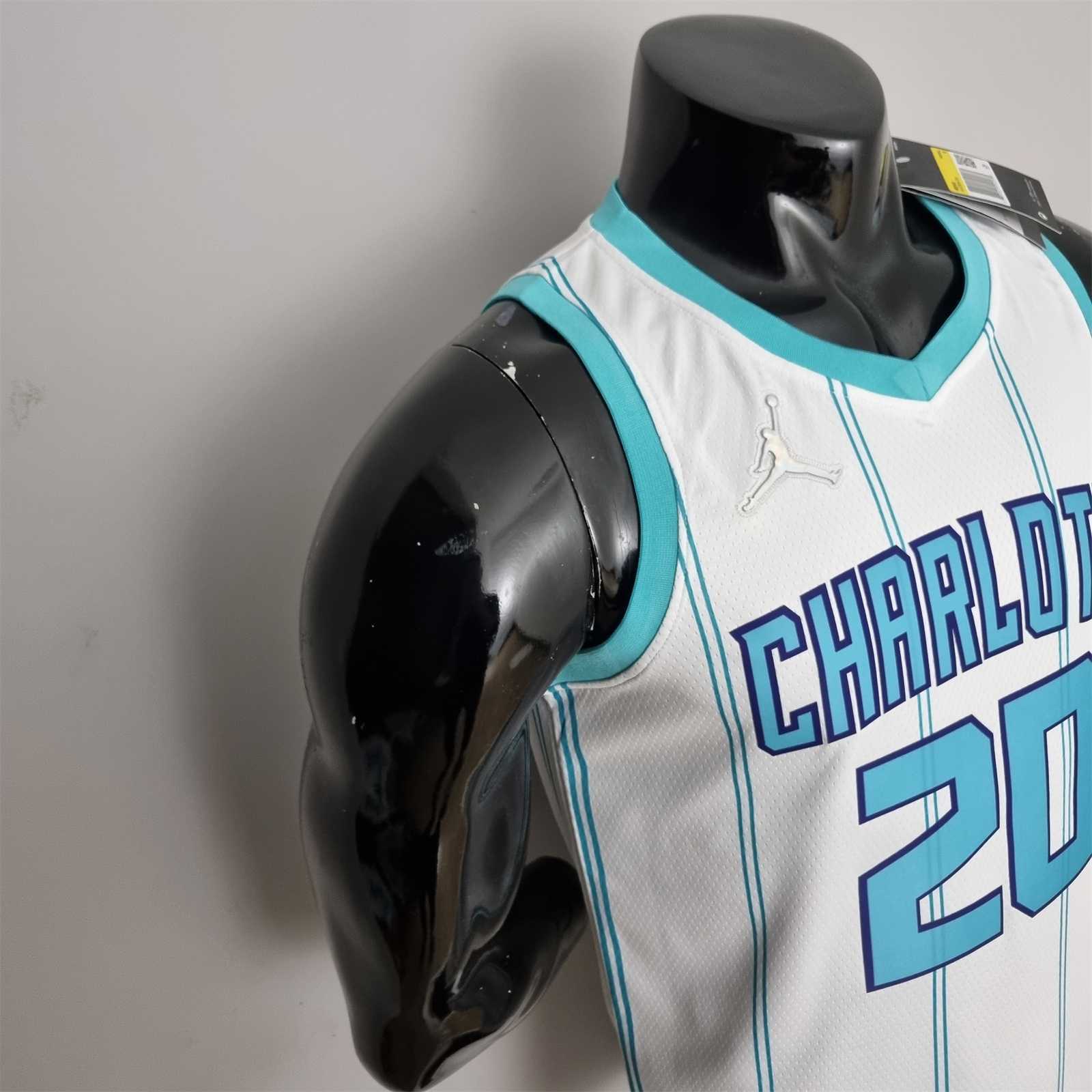75th Anniversary Hayward #20 Charlotte Hornets White NBA Jersey 9