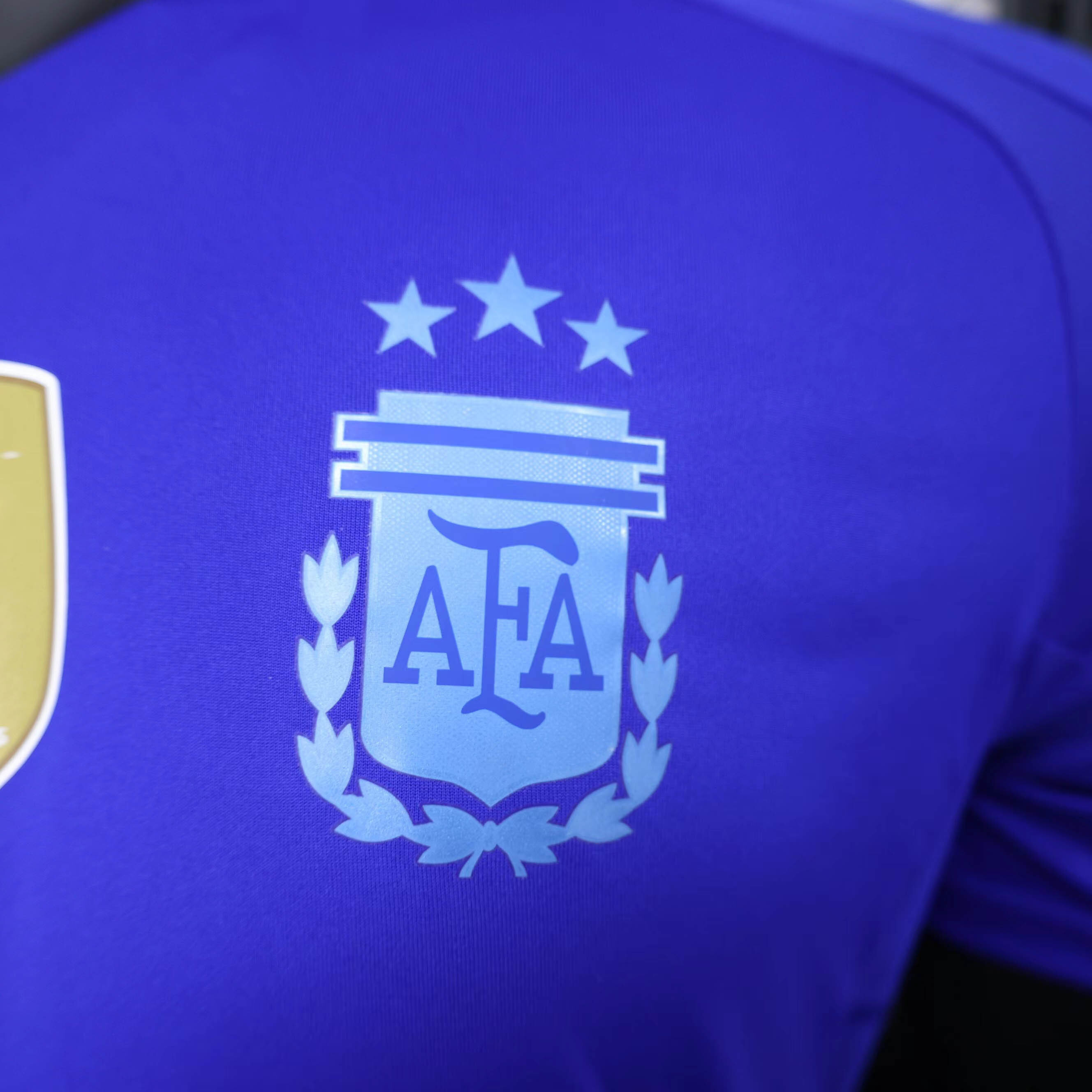 2024 Argentina Away Kit Player Version Shirt Jersey Supplier Yupoo 6