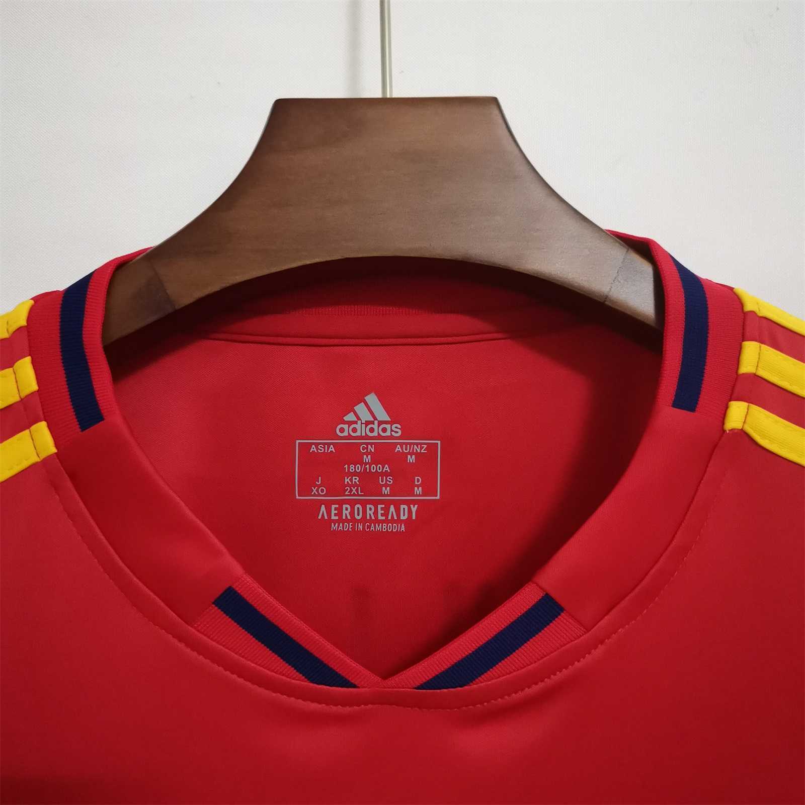 2010 Spain home 18