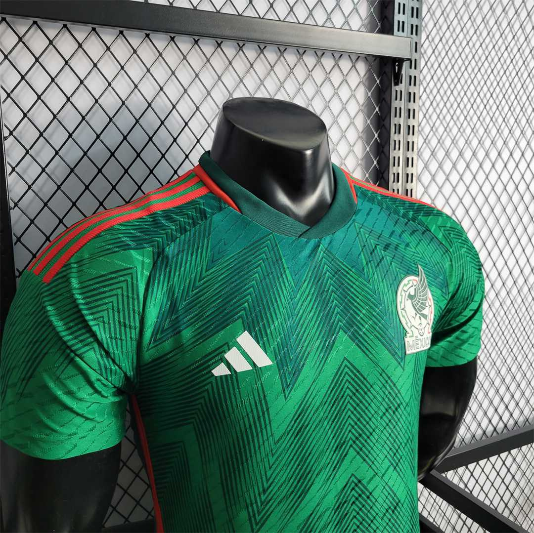 2022 Mexico home player version 8