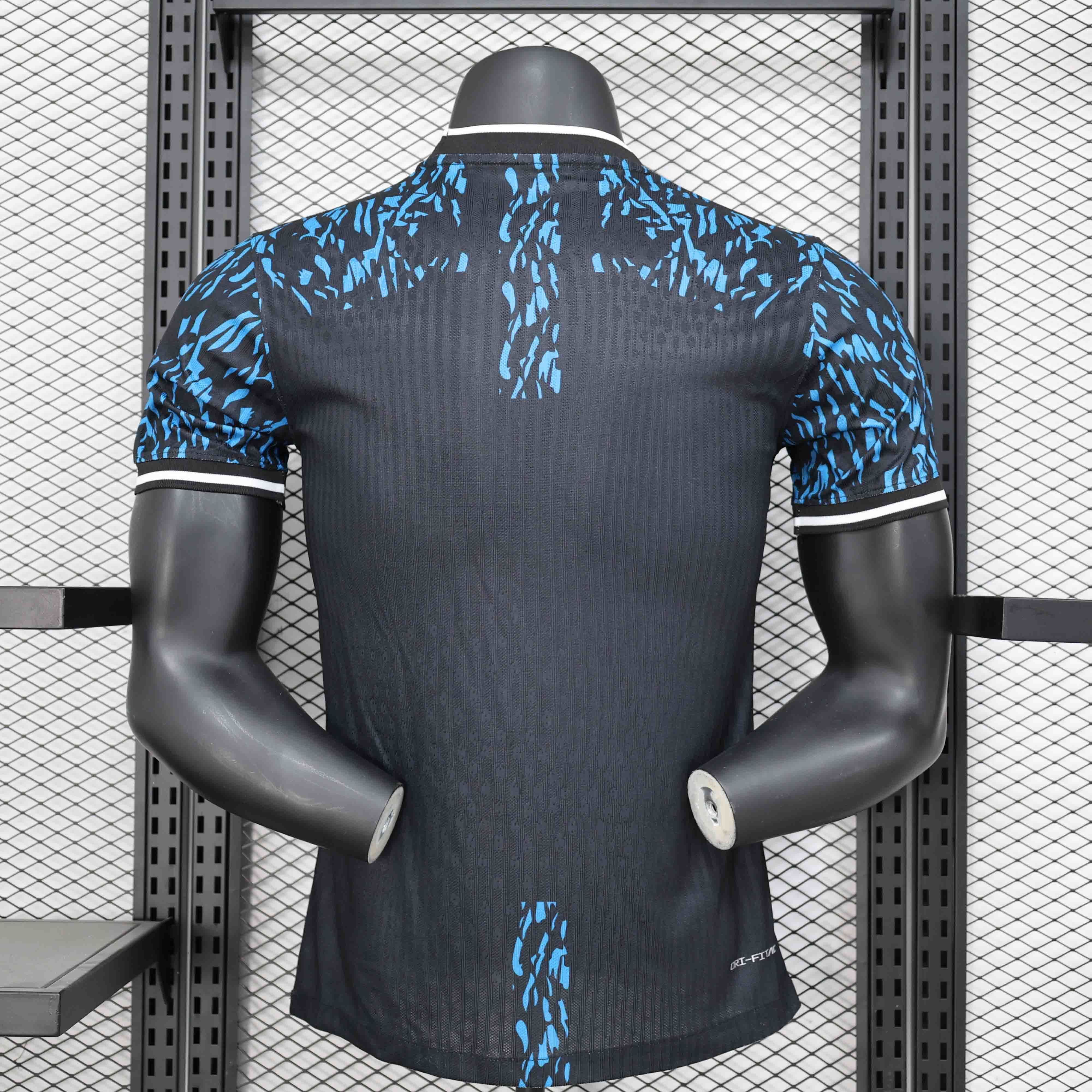 24-25 Barcelona Blue Lion Special Edition Player Version Shirt AAAAJersey Supplier Yupoo 1
