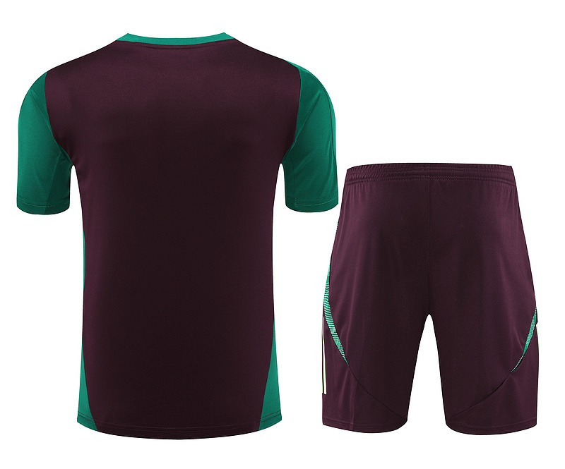 2024 Mexico Training Soccer Jerseys Football Shirts 2
