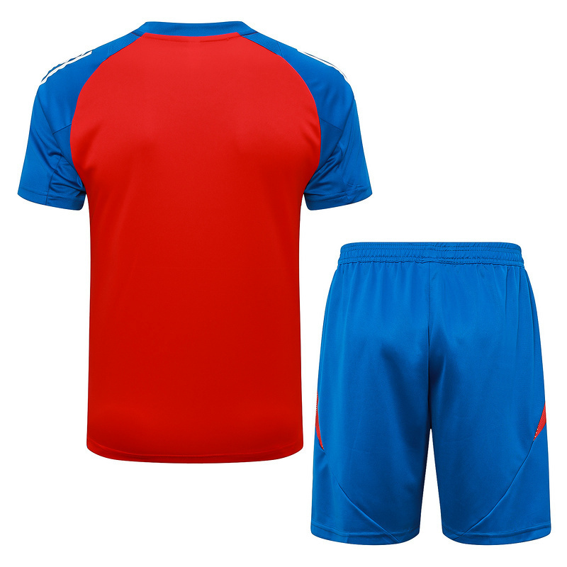2024 Spain Training Soccer Jerseys Football Shirts 2