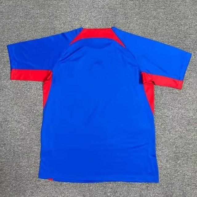 2024 Slovakia Home Kit UEFA Euro Shirt Football AAAAJersey Supplier 4