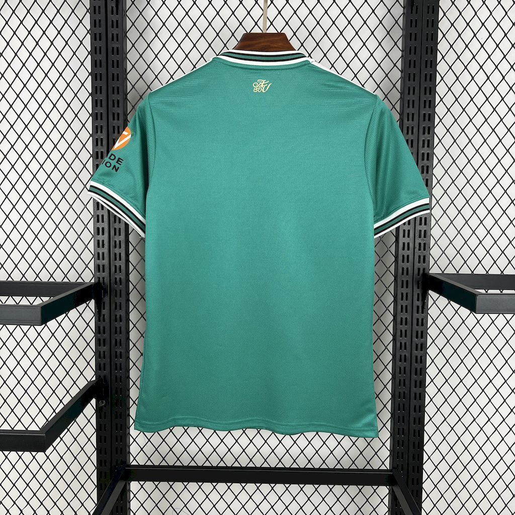 24-25 Aston Villa Green Special Edition T-Shirt AAAAJersey Supplier Yupoo 2