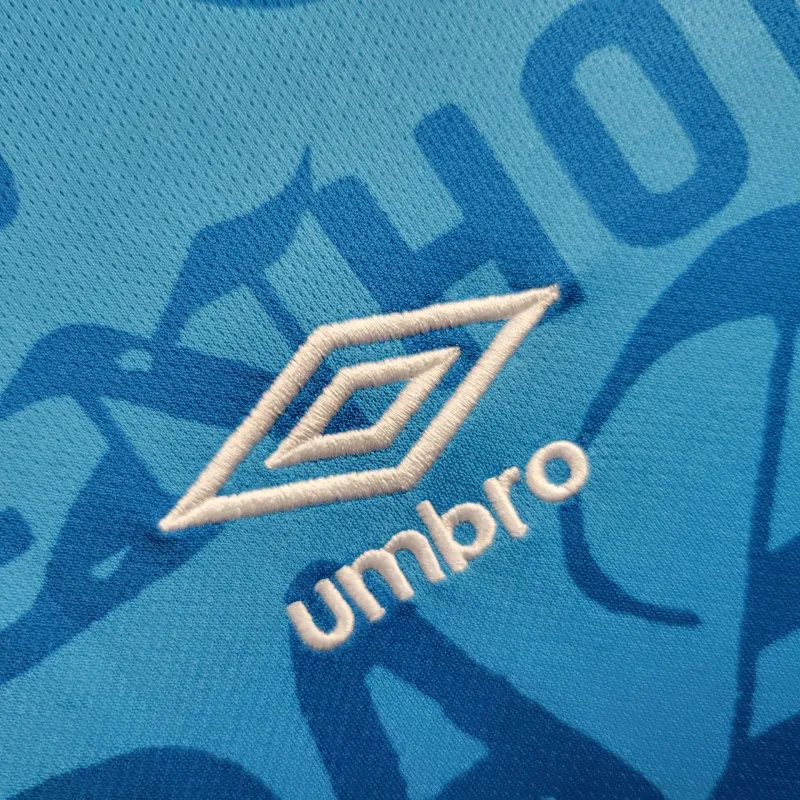 24-25 Gremio Training Kit Football Replicas Yupoo 5