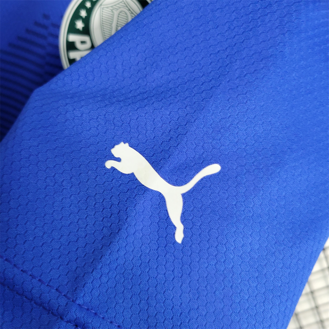 23-24 Palmeiras Dark Blue Goalkeeper 7